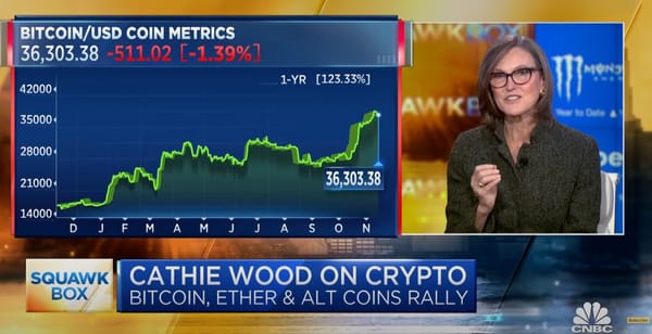 Cathie Wood a CNBC műsorában